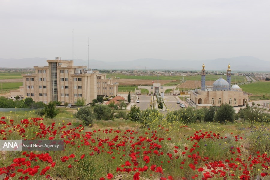 دانشگاه آزاد اسلامی واحد بیضا