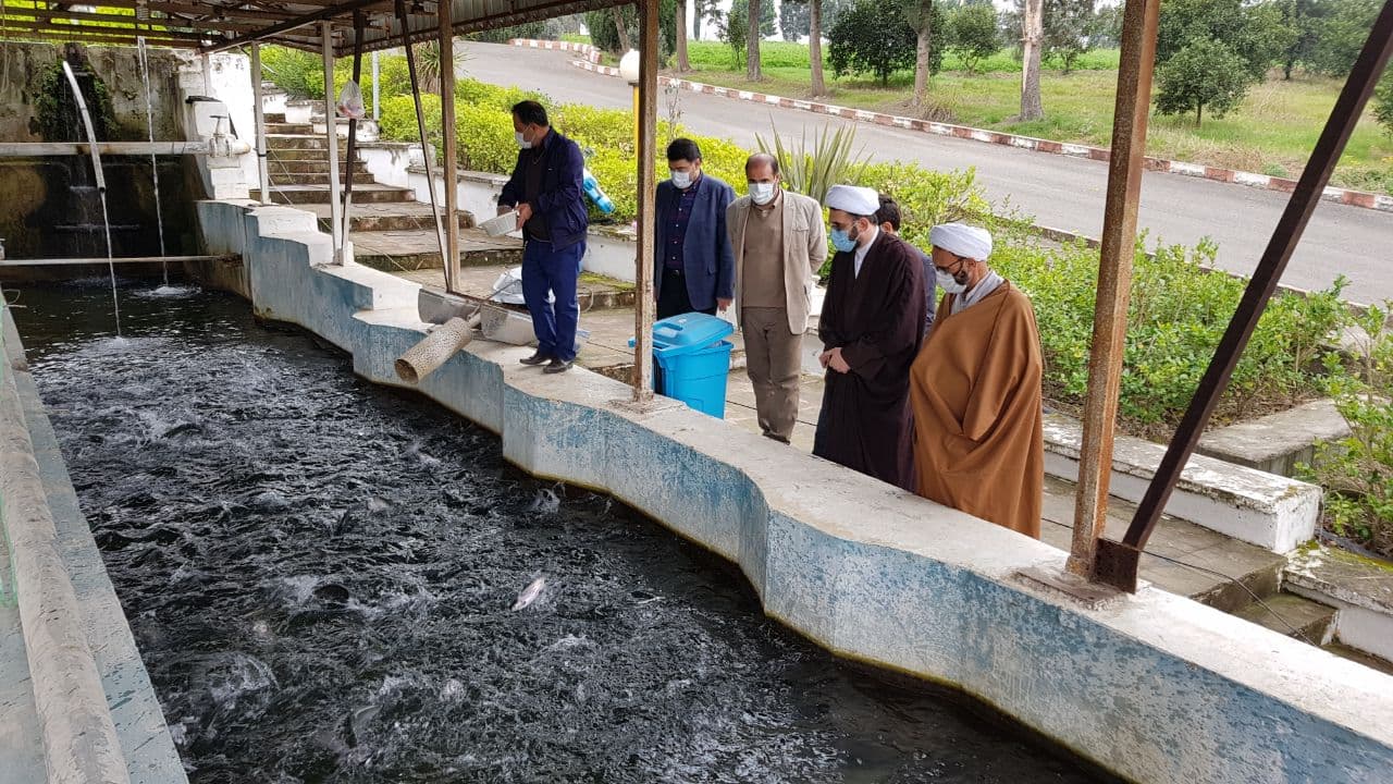 صید ماهی
