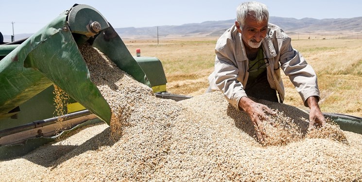 خرید تضمینی