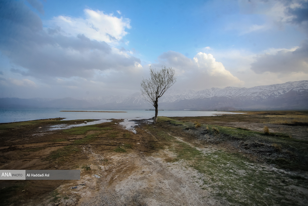 تالاب چغاخور