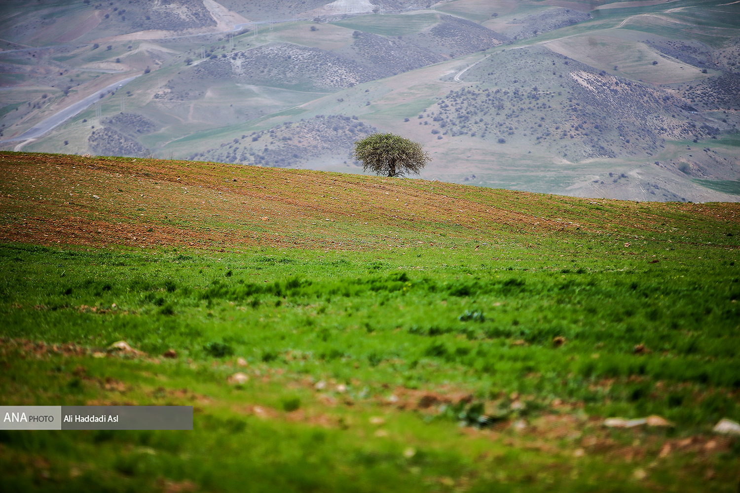 طبیعت بهاری چهارمحال و بختیاری