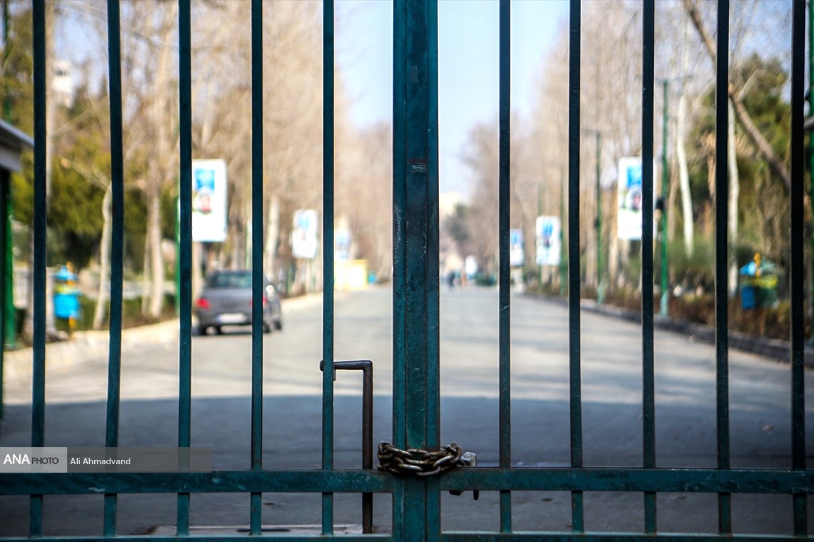 دانشگاه کرونا