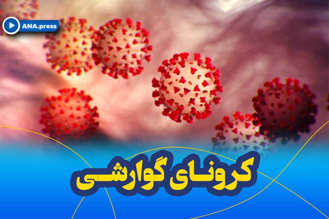 گوارش