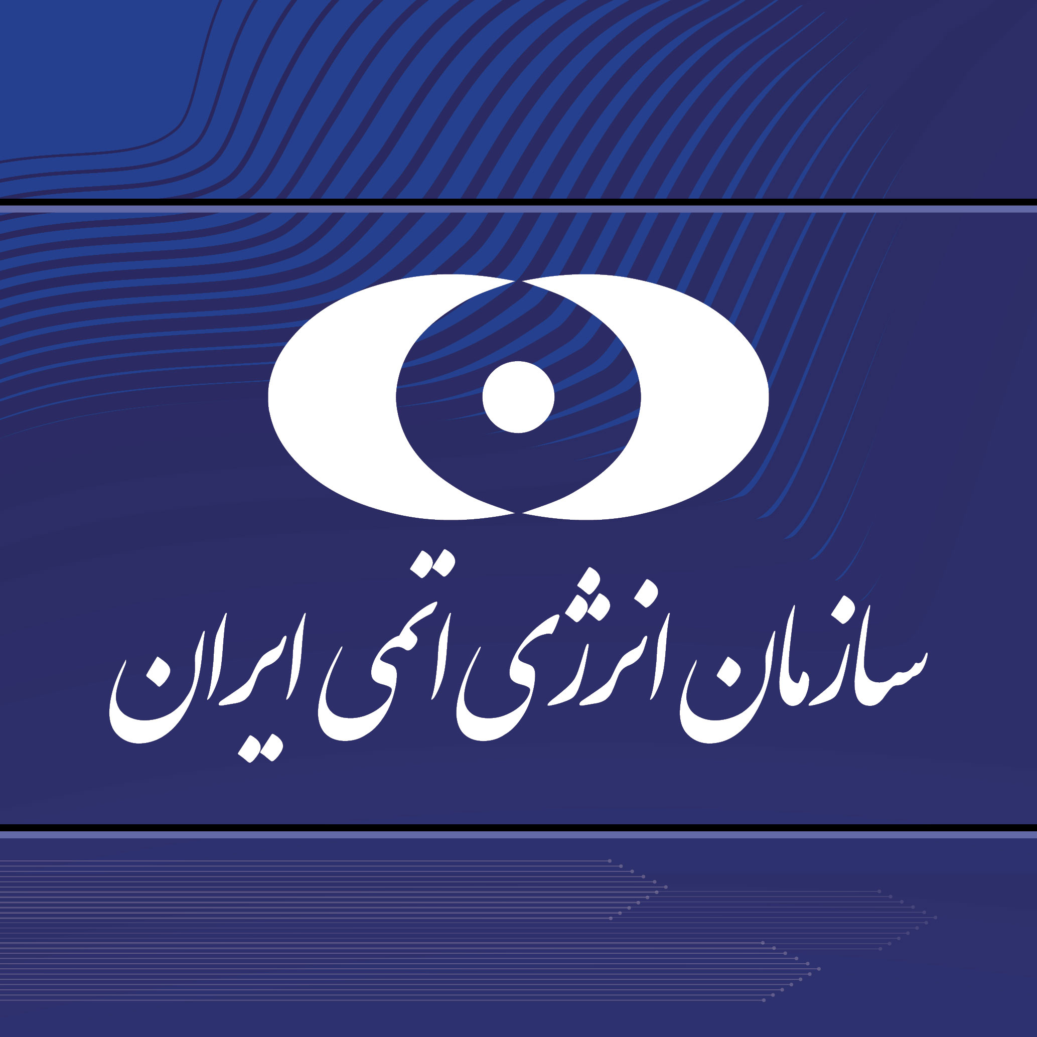 سازمان انرژی اتمی ایران