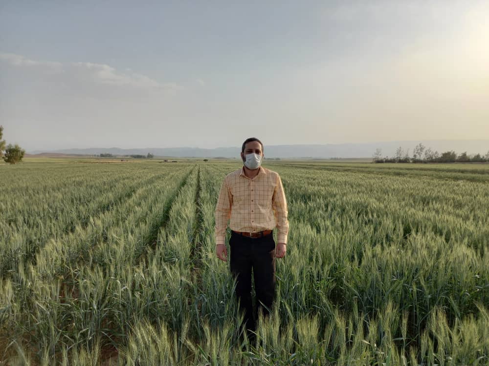 سید ابراهیم دشتی