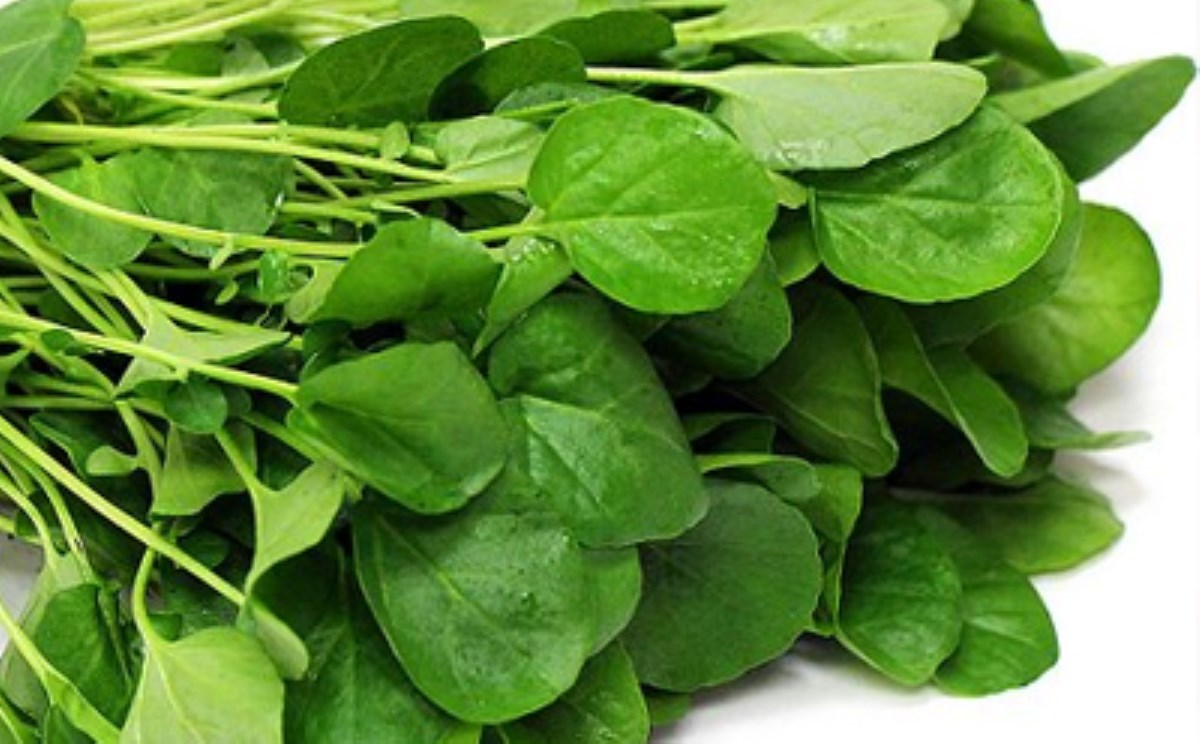 سبزی شاهی