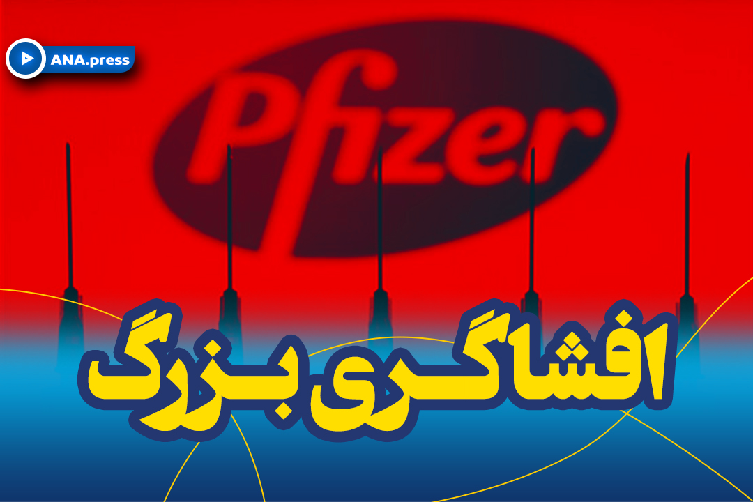 فایزر