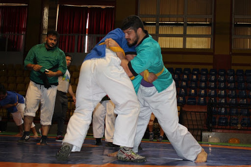 آلیش مردان