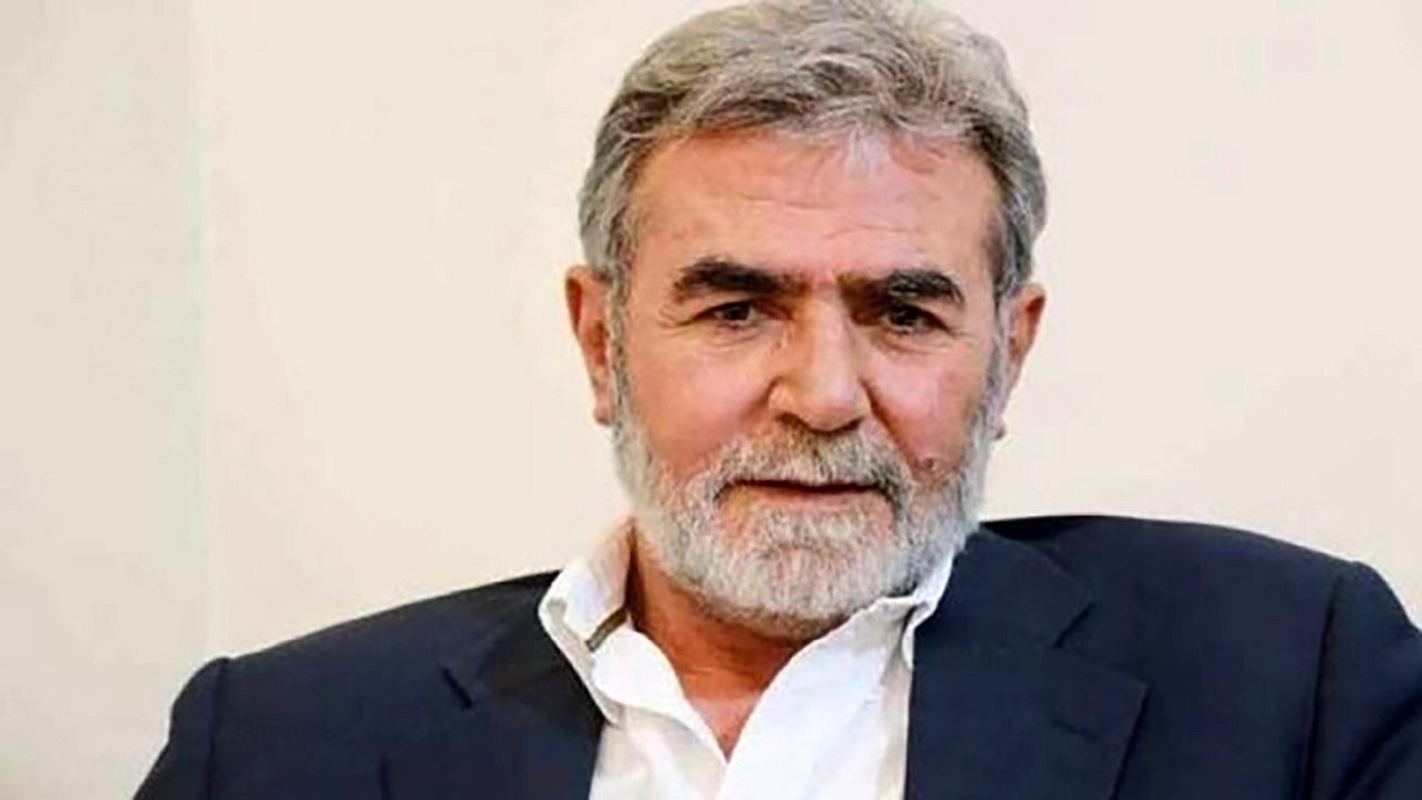 زیاد نخاله