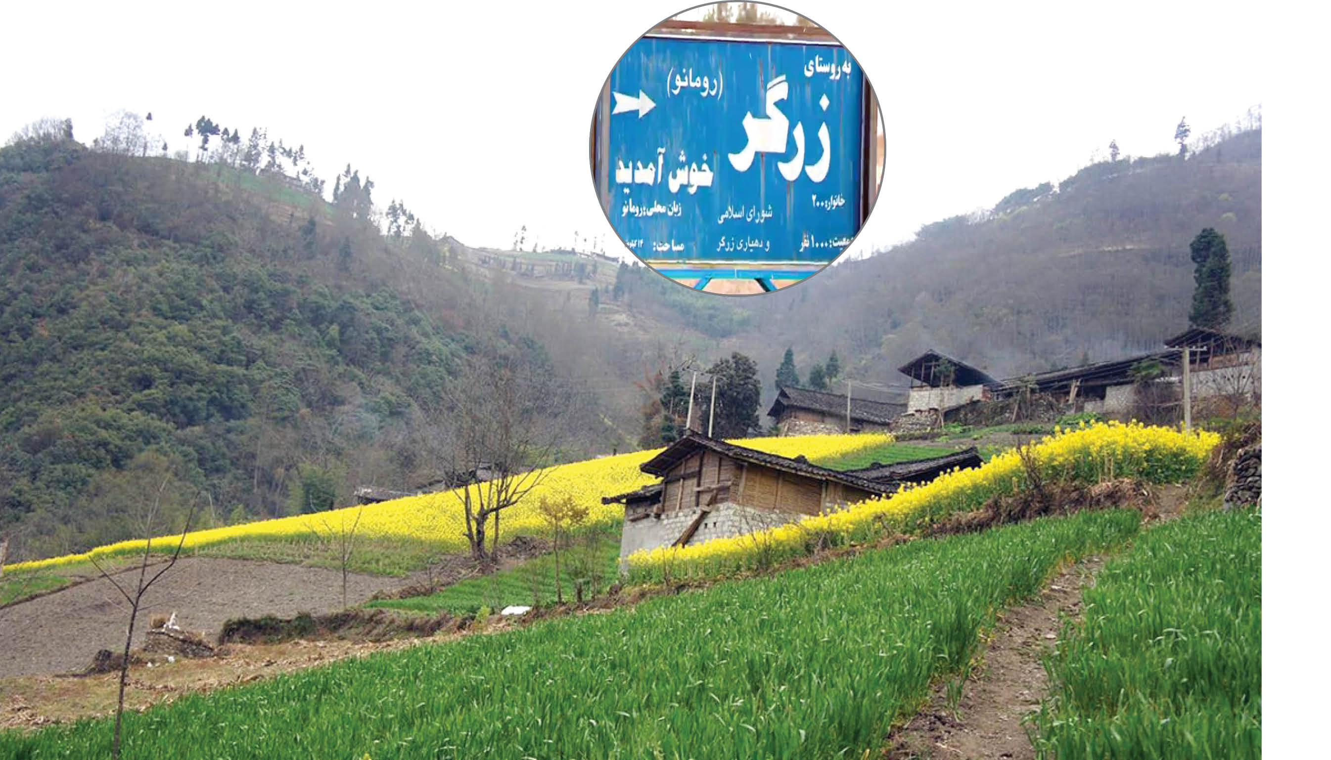 روستا زرگر