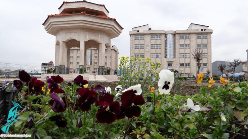 دانشگاه آزاد واحد رشت