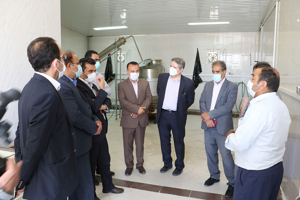 بازدید
