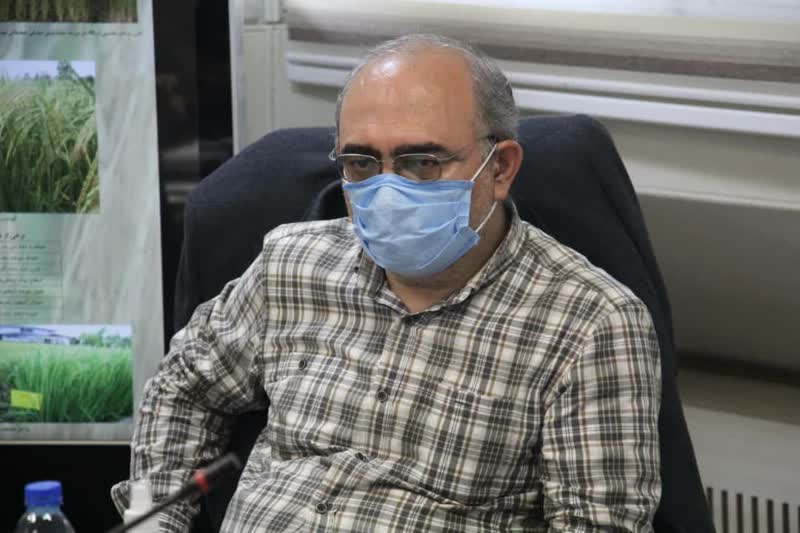 جواد علمایی