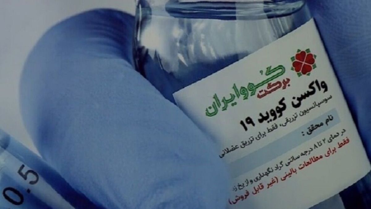 کوو ایران برکت