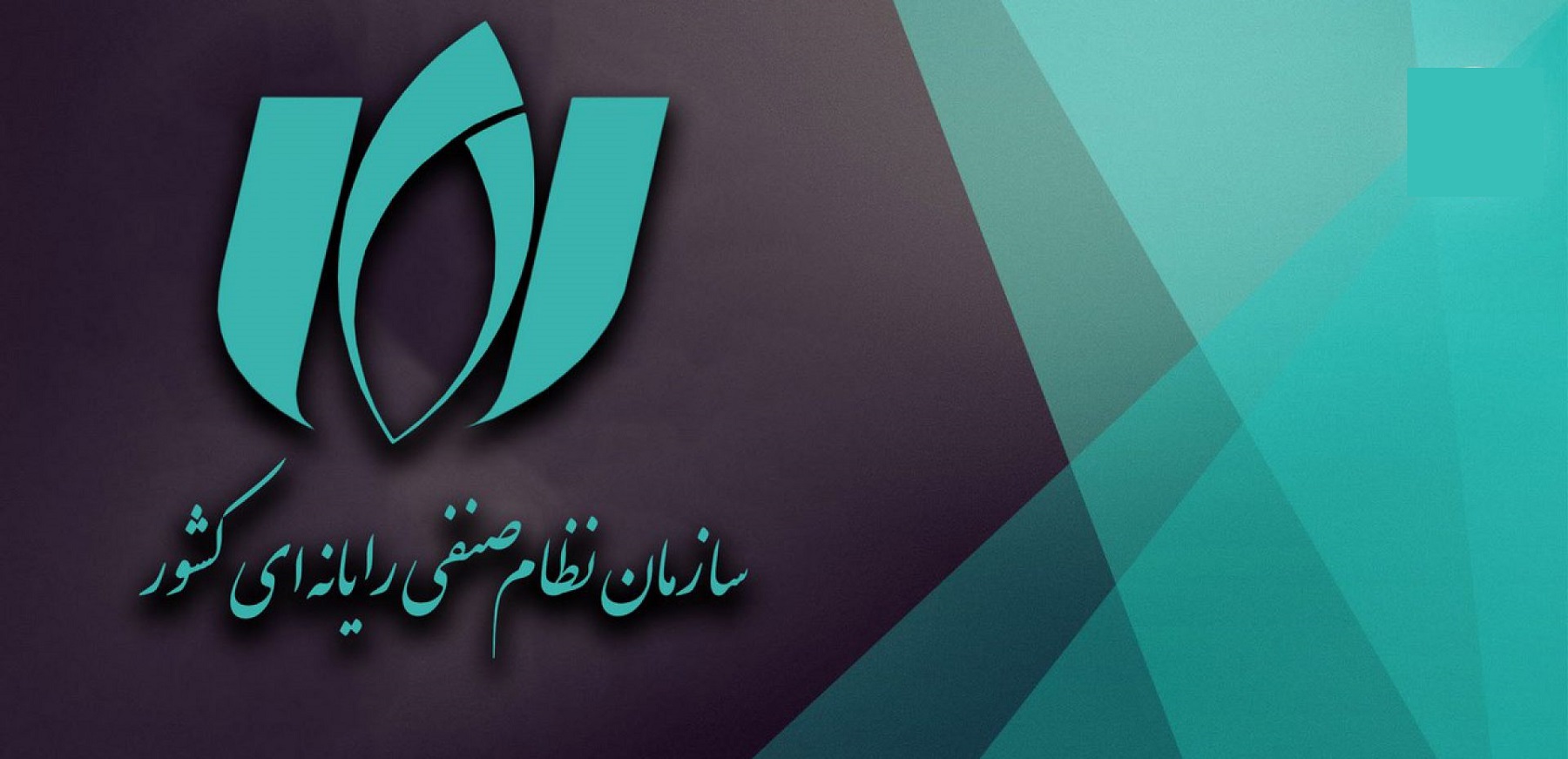 سازمان نظام صنفی رایانه ای