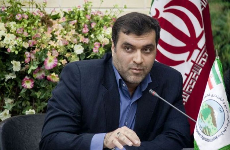 روحالله جمعهای
