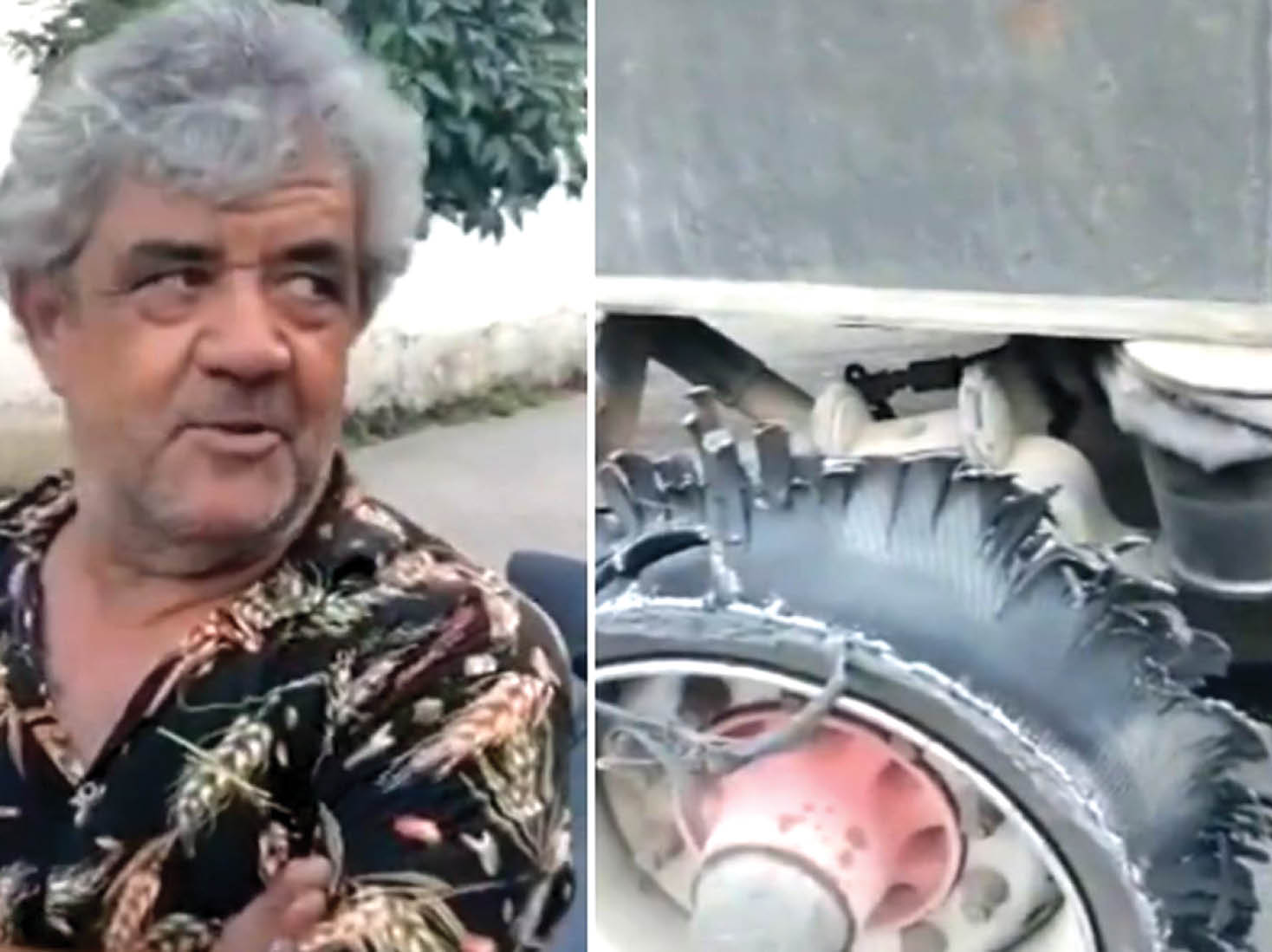 شاهرخ بیکدلى