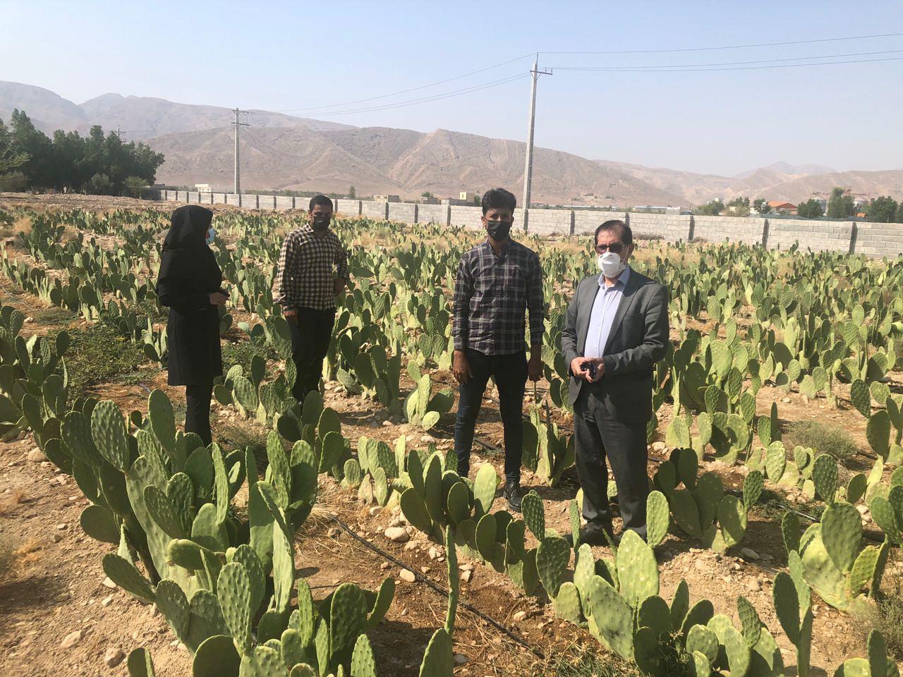 بازدید میدانی مسئولان دانشگاه آزاد اسلامی مرکز اوز از مزراع کشت کاکتوس منطقه