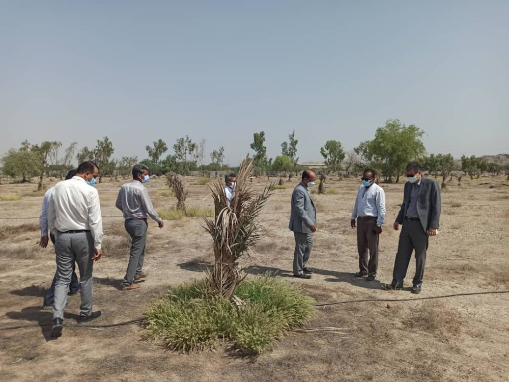 ایستگاه کشاورزی
