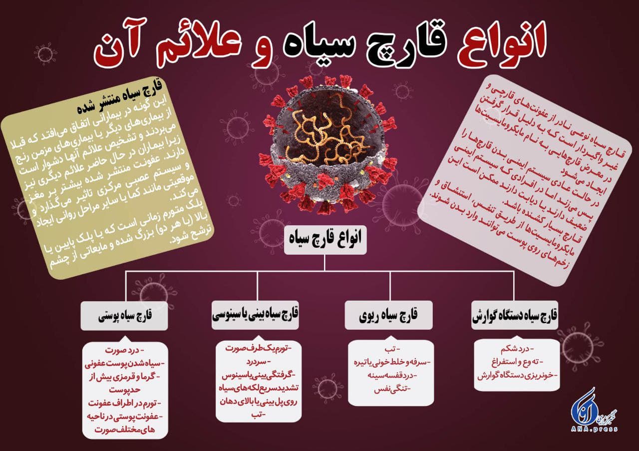 انواع قارچ سیاه و علائم آن (اصلی)