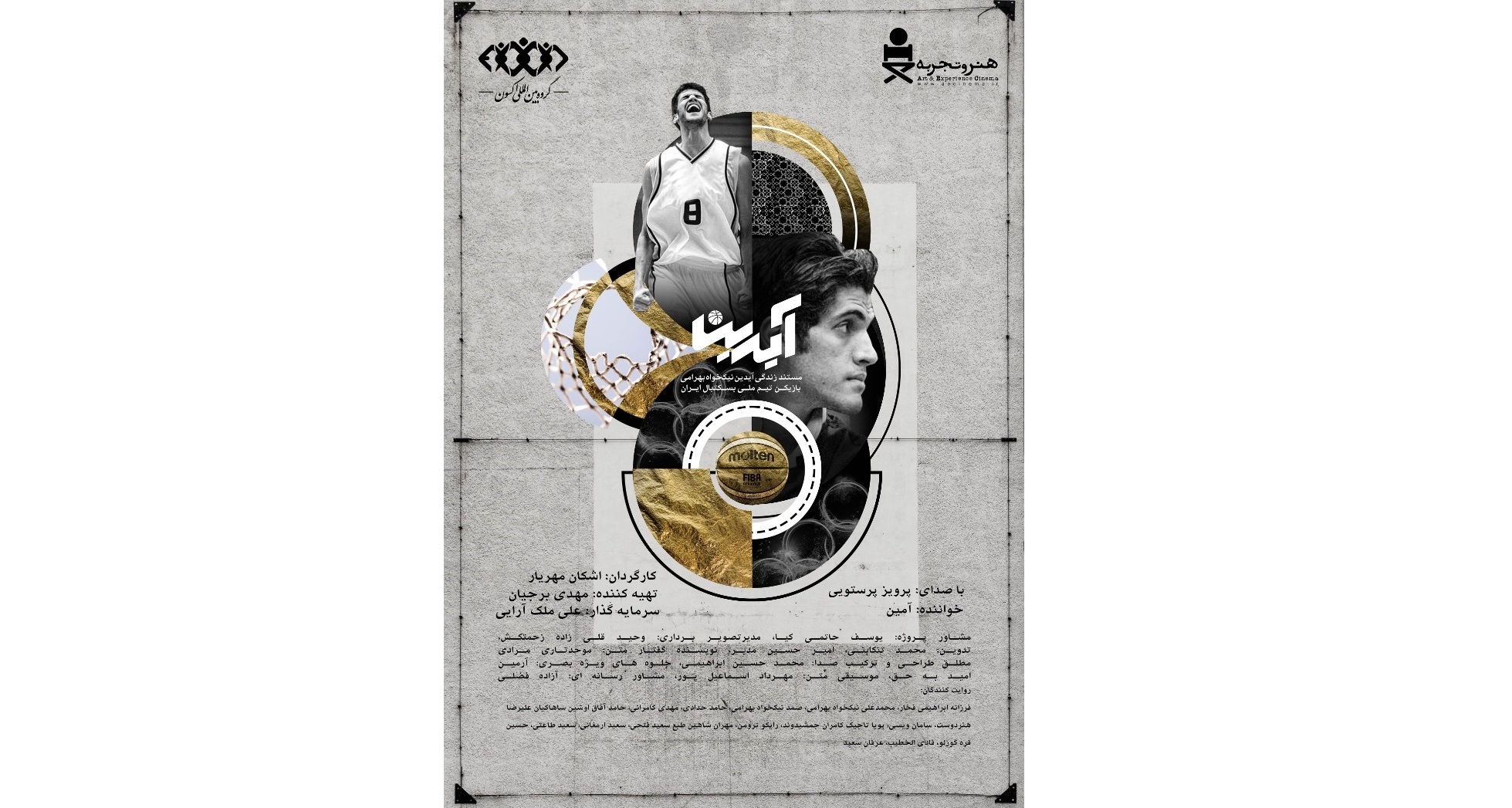 مستند آیدین