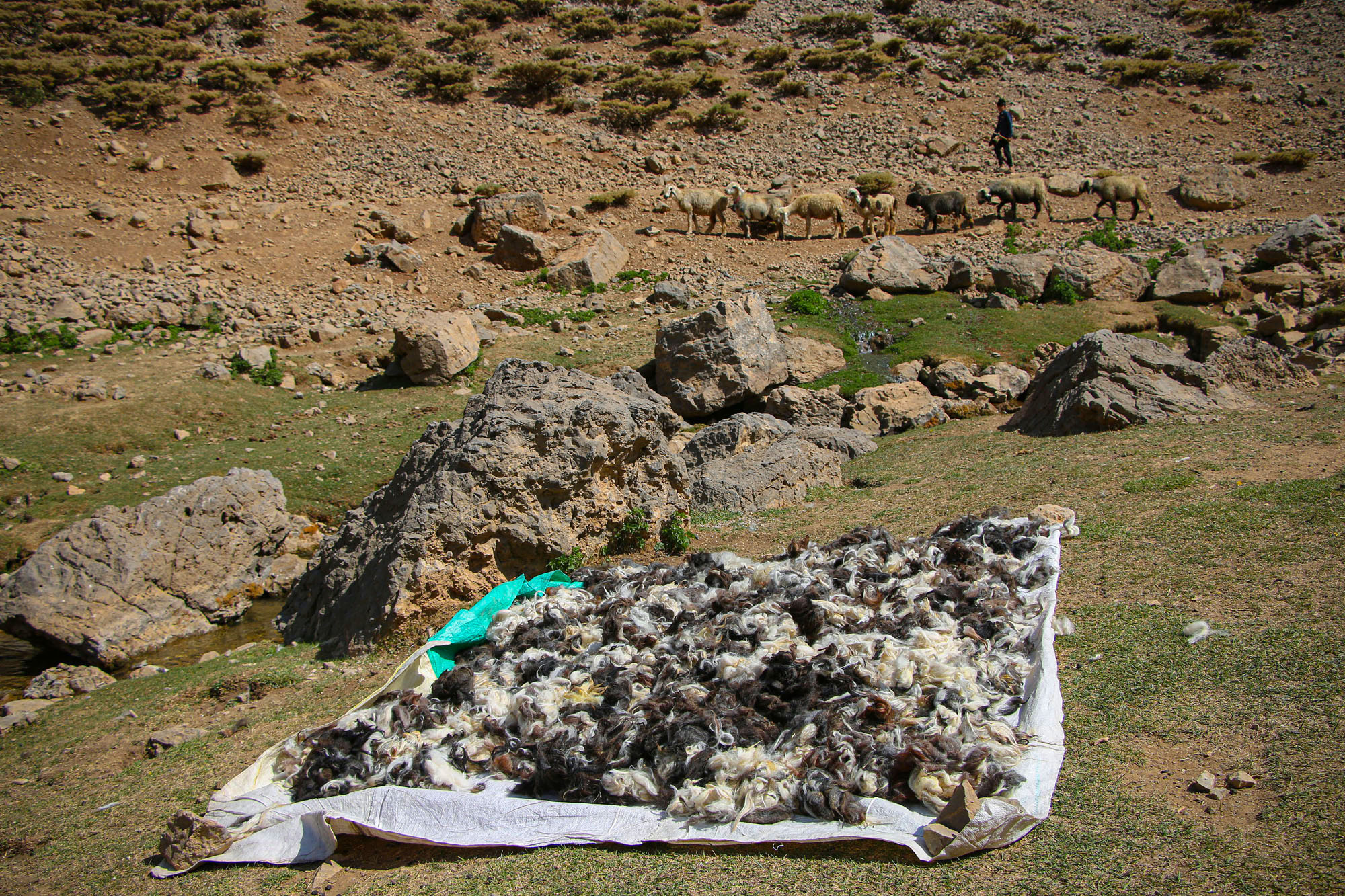 روز ملی روستا و عشایر