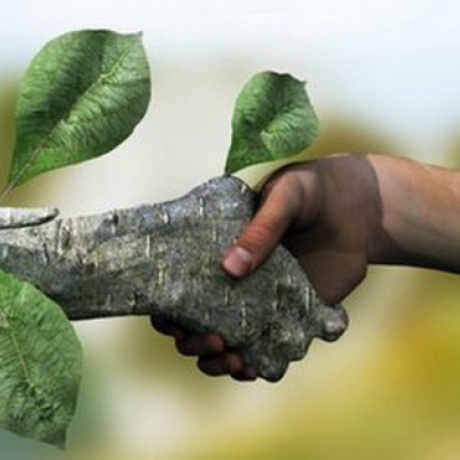 محیط زیست