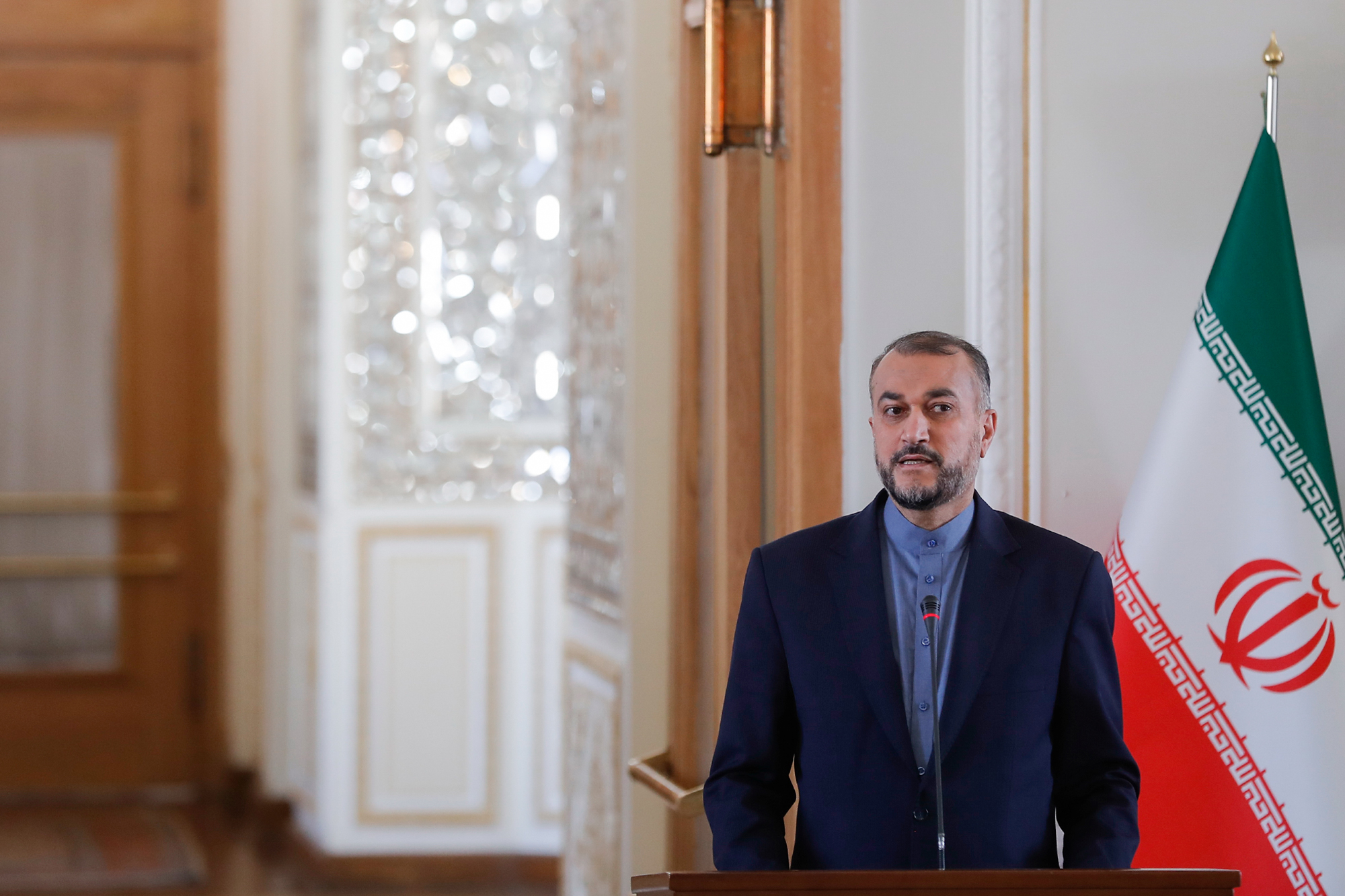 دیدار وزیر خارجه ونزوئلا با امیرعبداللهیان