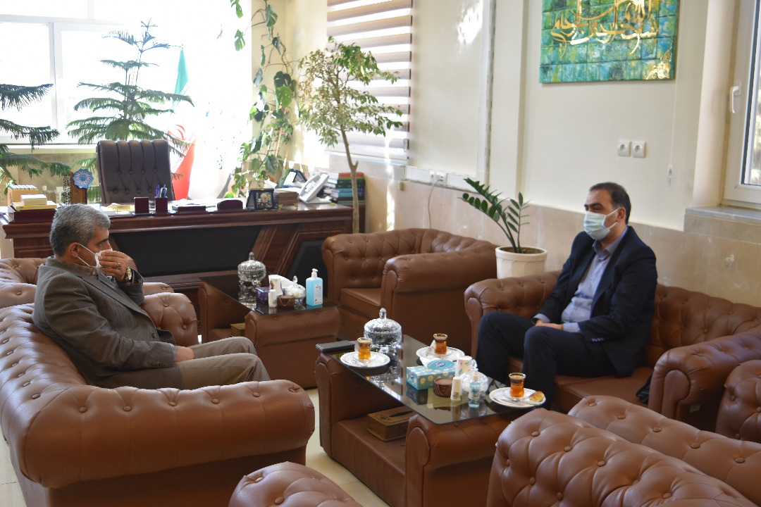 دیدار