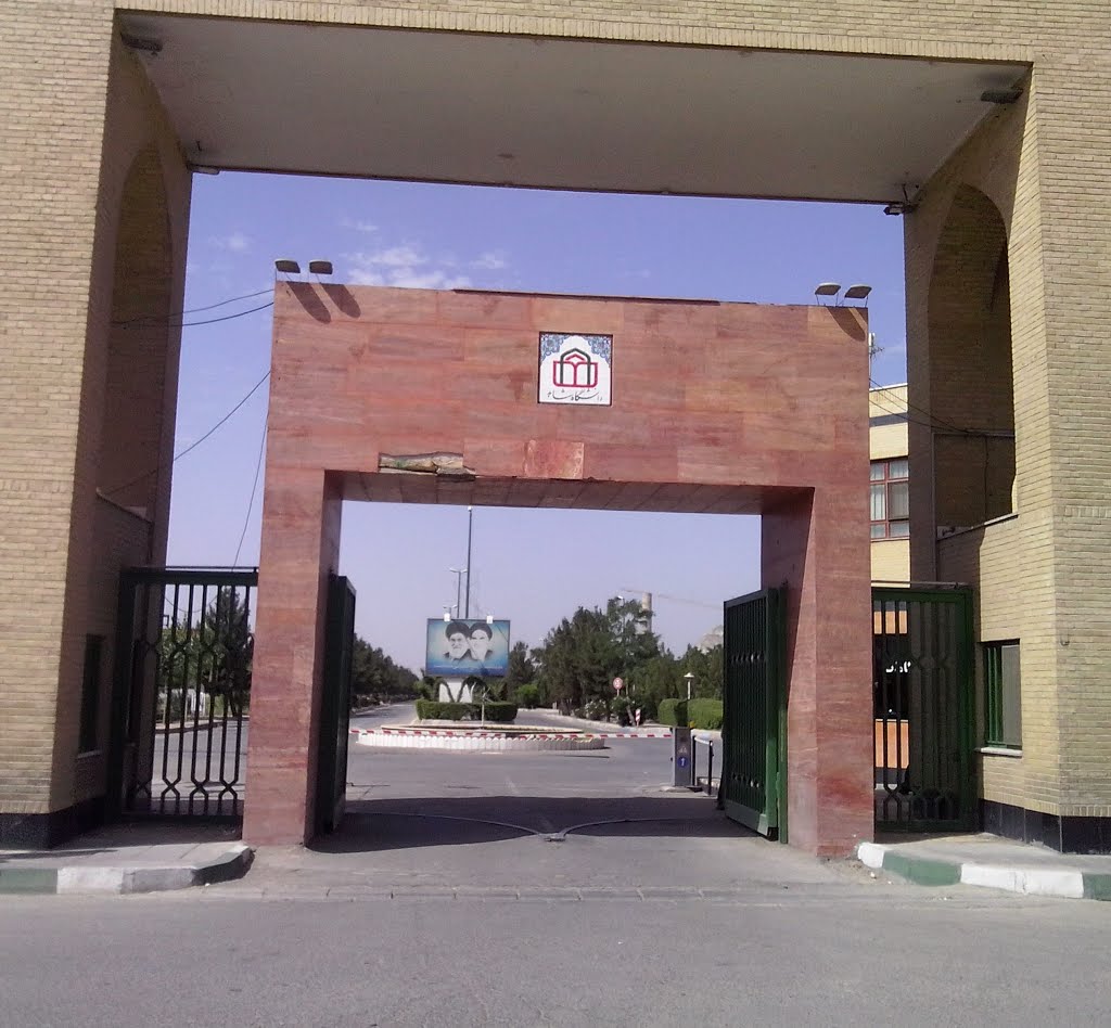 دانشگاه شاهد