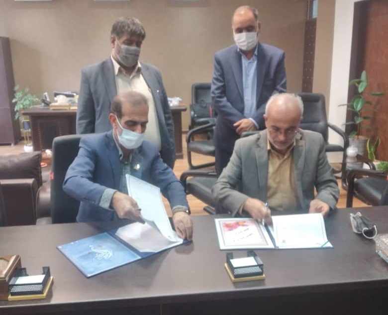 امضای تفاهمنامه همکاری دانشگاه آزاد اسلامی با هیئت ورزشهای همگانی استان یزد