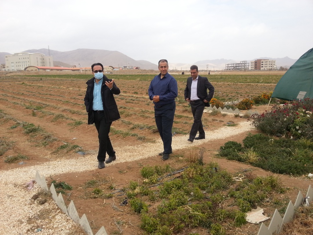 بازدید