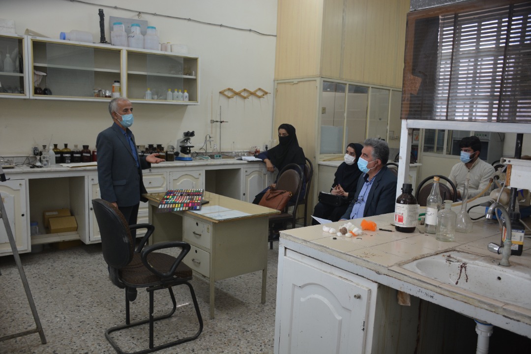 رنگرزی
