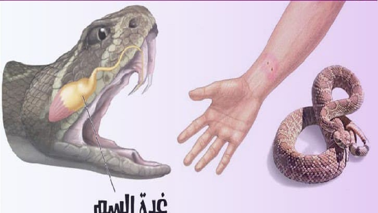 زهر مار