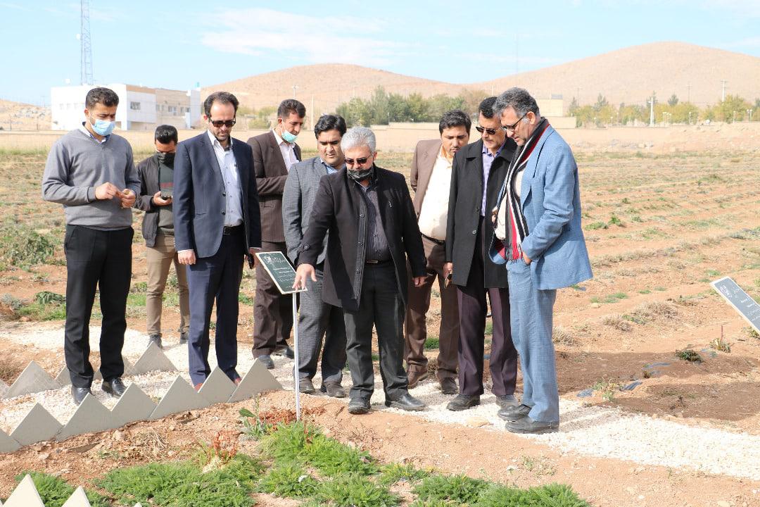 بازدید زینلی از مزرعه تحقیقاتی واحد شهرکرد
