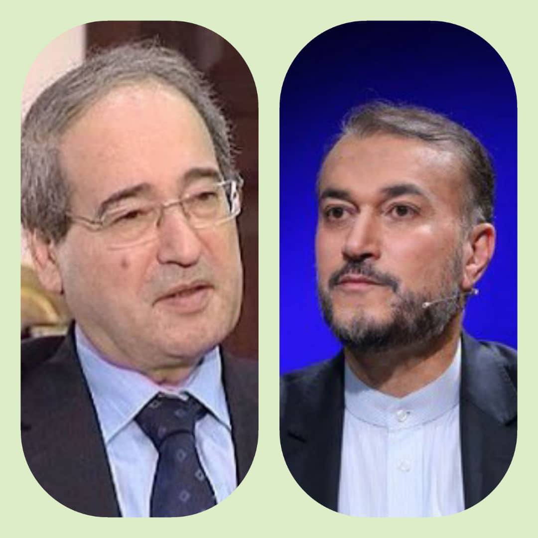 حسین امیرعبداللهیان - فیصل مقداد