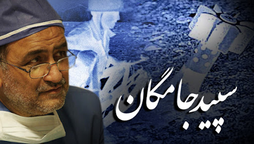 سپیدجامگان