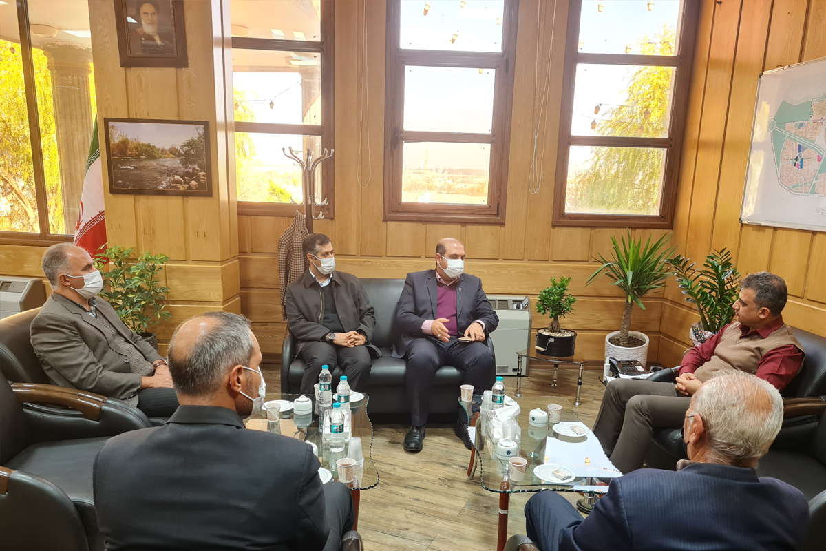 داودی