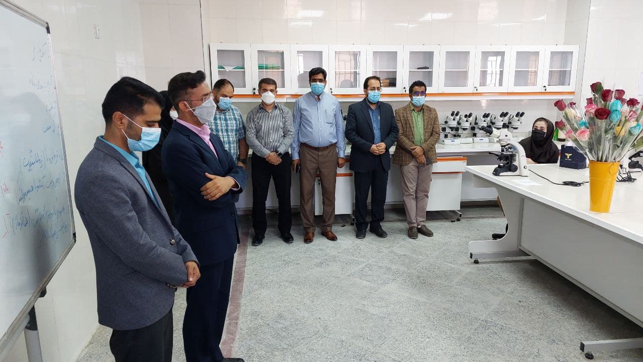 دیدار