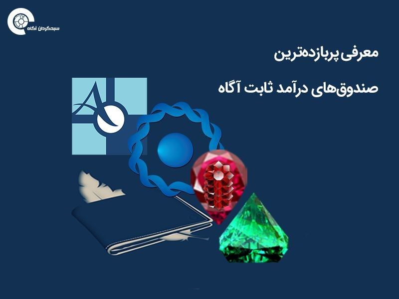 رپرتاژ