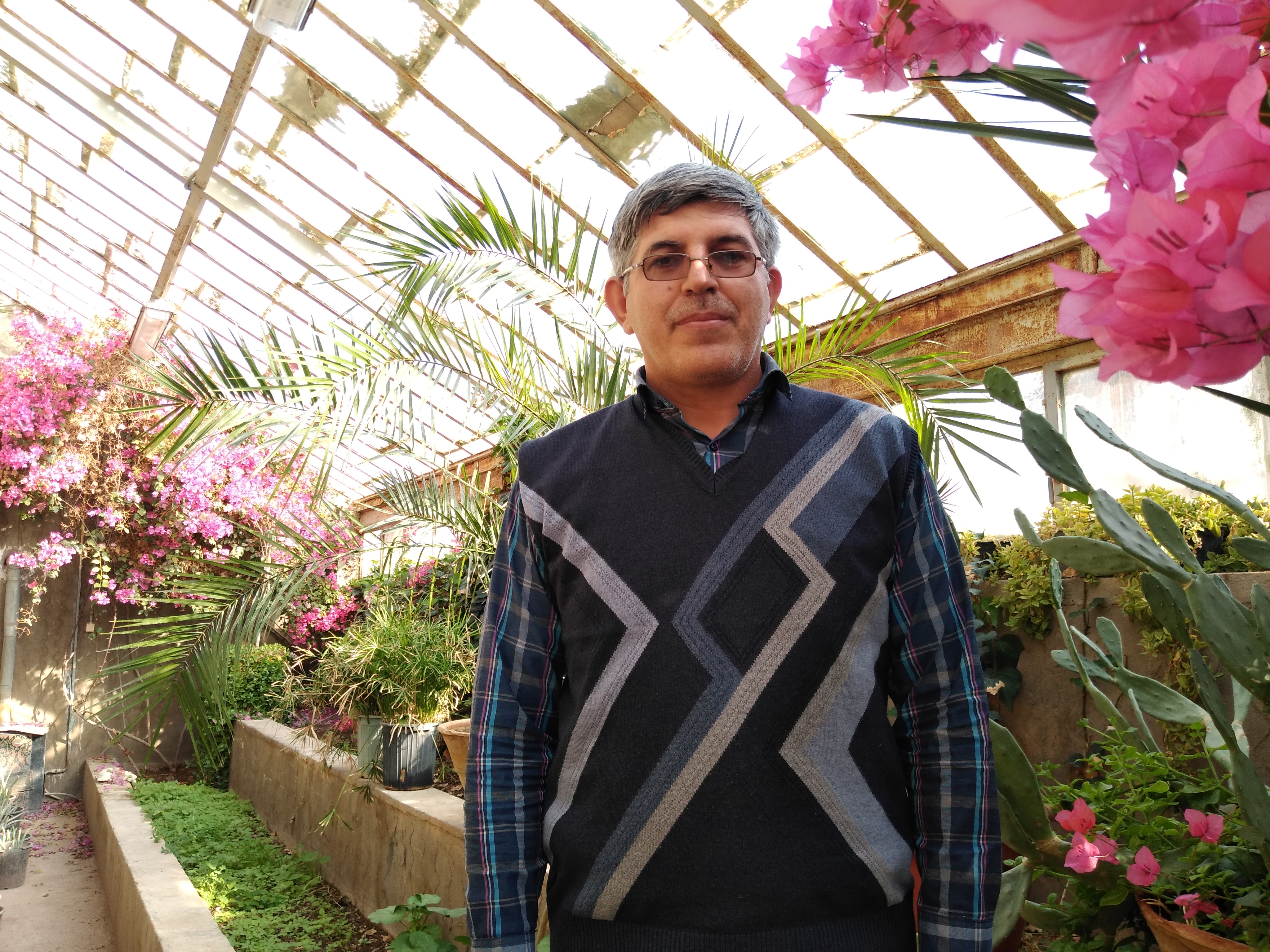 قنبر لایی