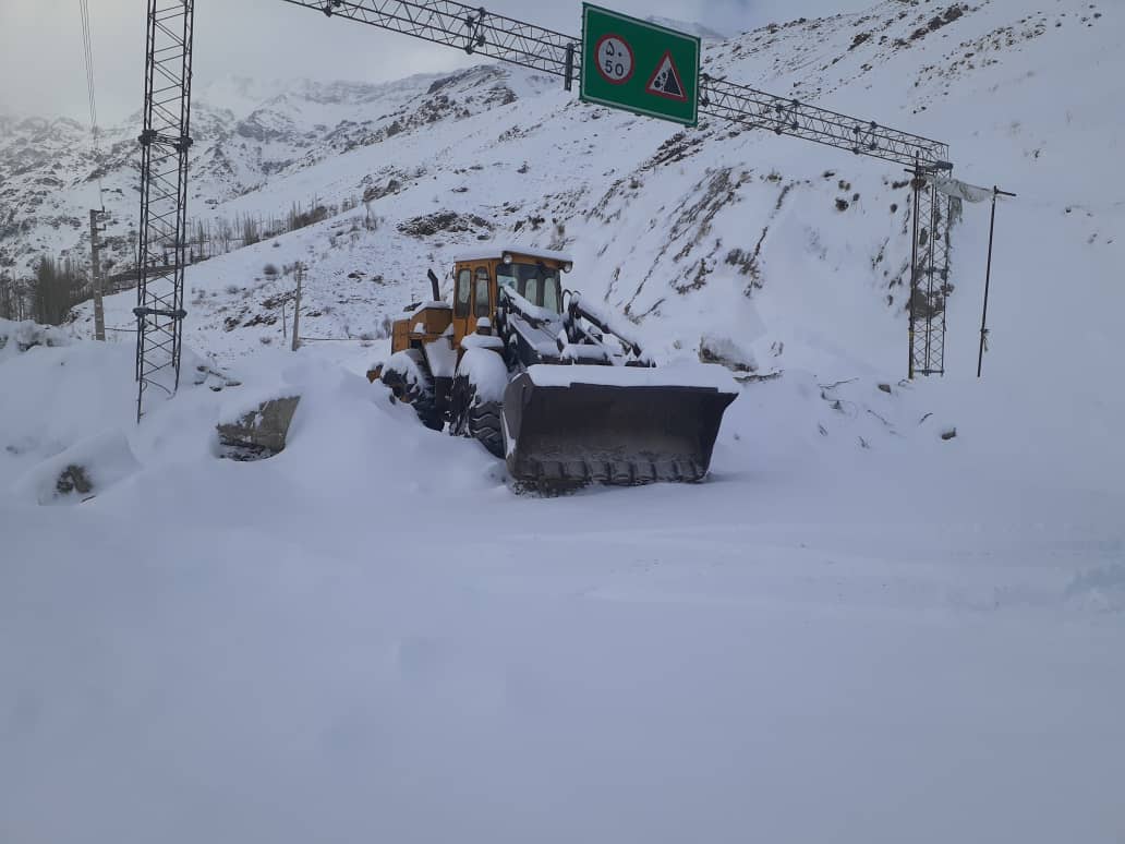دیزین