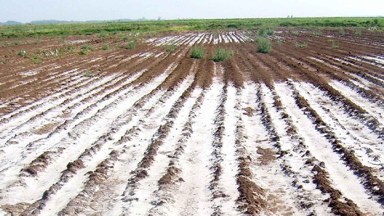 سدیم