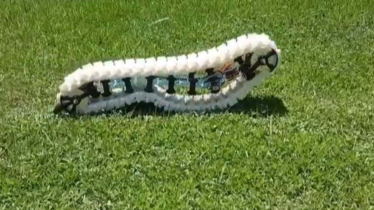 روبات