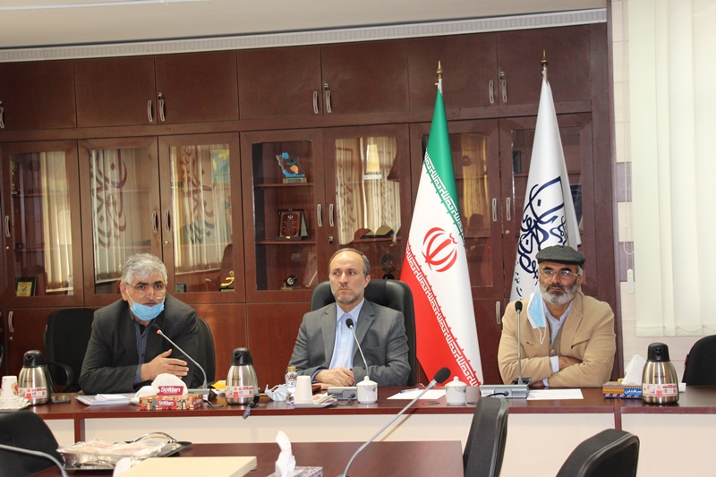 گنجی