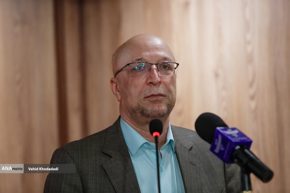 محمد علی زلفی گل