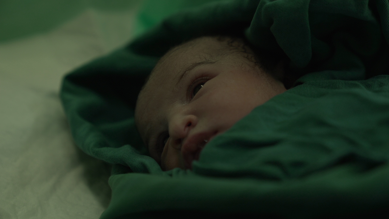 «زهرا گلی»