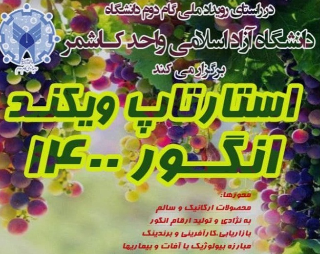رویداد استارت‌آپ ویکند انگور ۱۴۰۰