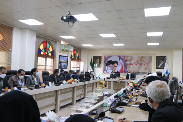 معاون پارلمانی رئیس جمهور