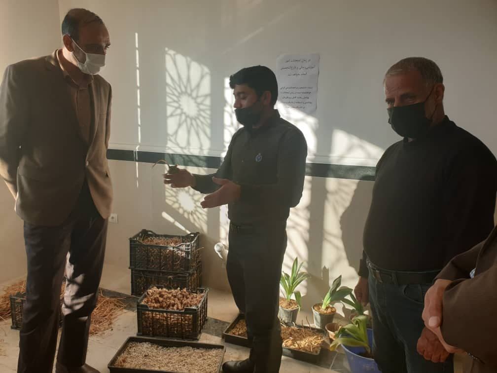 محبی پور